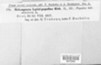 Image Associated With the Occurrence